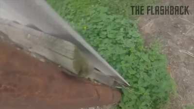 combat footage from a Ukrainian soldier during the counteroffensive in the donetsk region.
