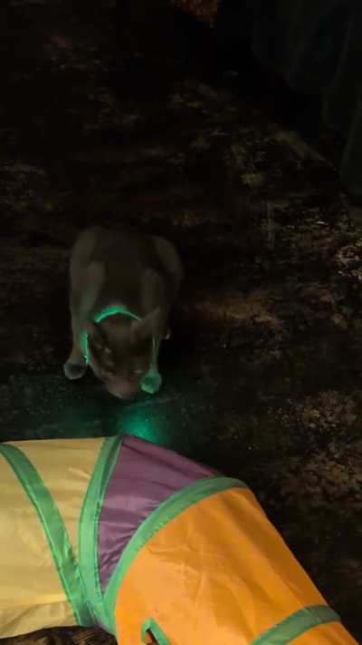 What is happening with my baby?!