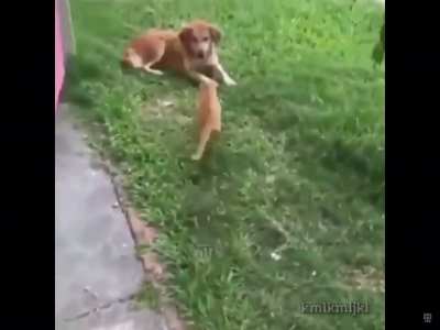 Sneak aaaand execute