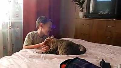 Сива, фас!