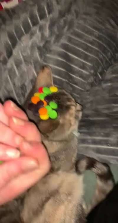 Pinot wasn&rsquo;t having it