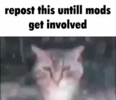 Do it