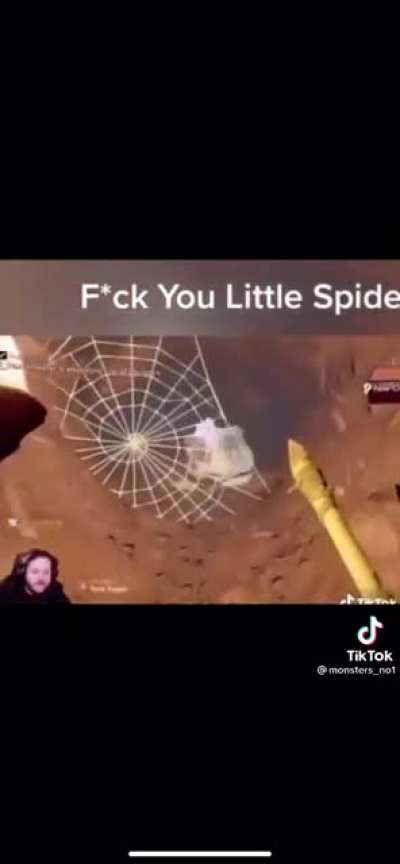 There are spiders in here for everyone you is scared of spiders