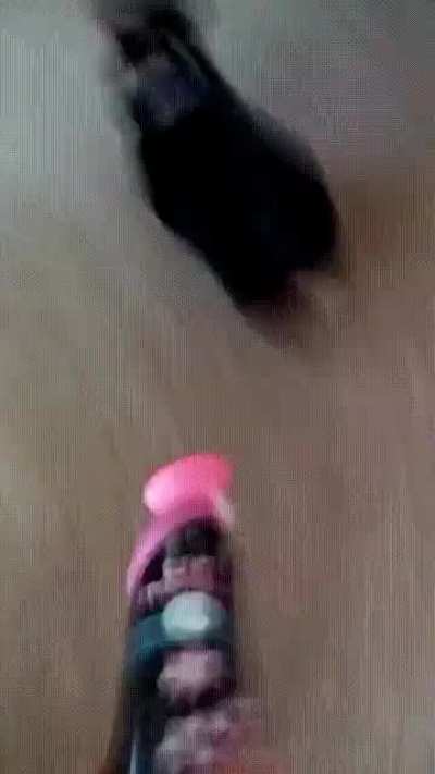 Reverse fetch