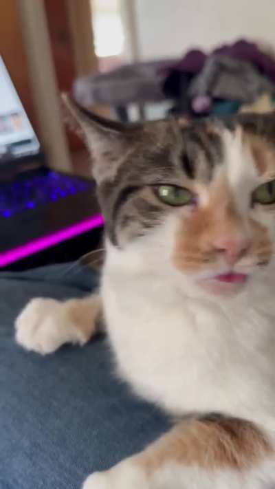 Lawtie derped out and went full blep