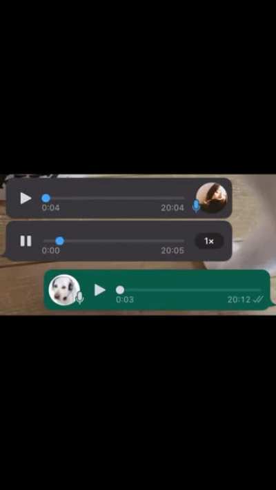 salimoenecaranava