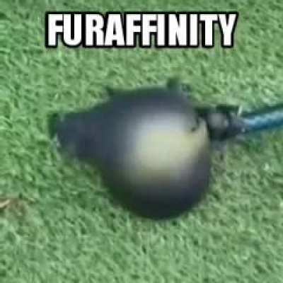 furry_irl