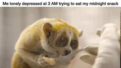 2meirl4meirl