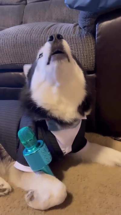 🎤🐶🎵