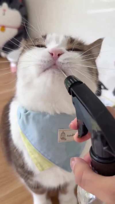 Only way he drinks water