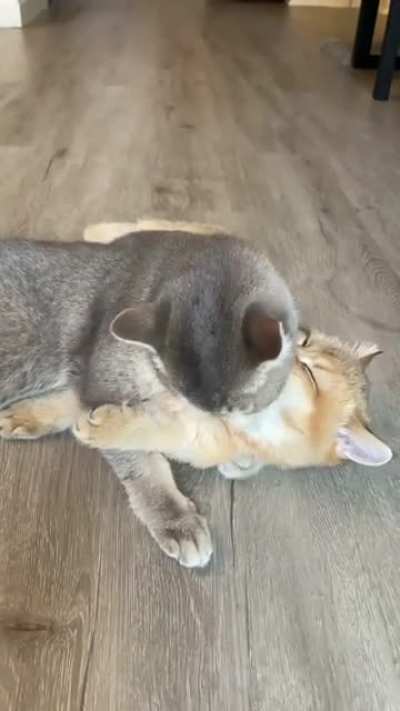 Too much love