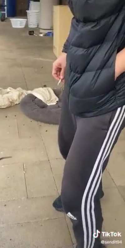 australian tiktok