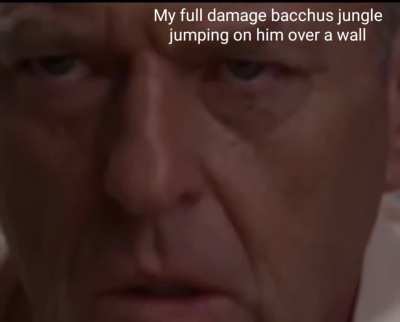 Guardian jungles > everything else 