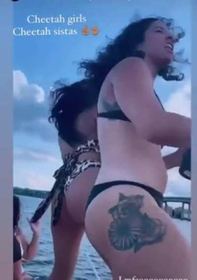 🫡🍃🛥