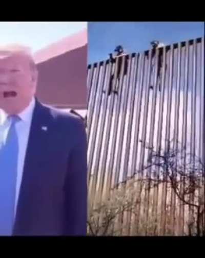 Assassins Creed: The wall