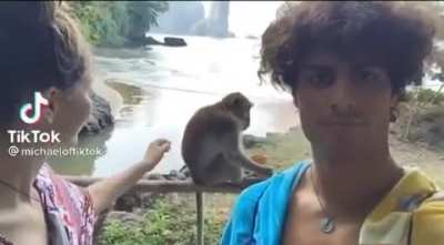That&rsquo;s why you don&rsquo;t pet wild animals