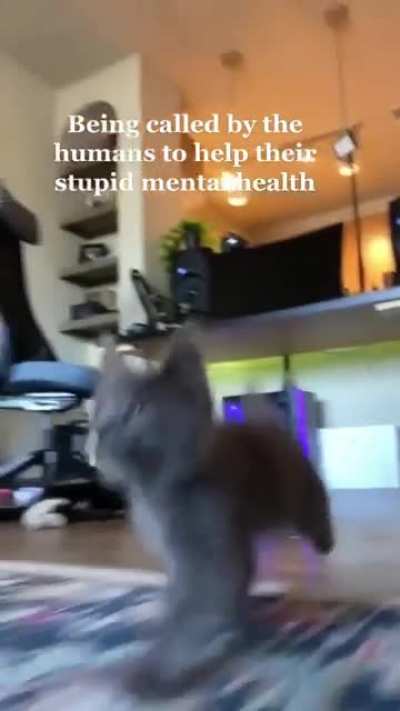 Mental health check, how&rsquo;s everyone doing
