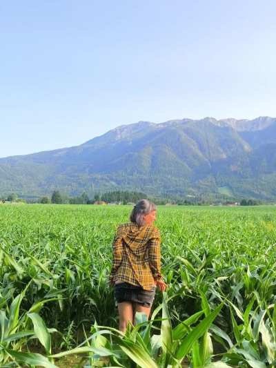 Flashing in the fields until the farmer yelled at me to get lost lol [gif]