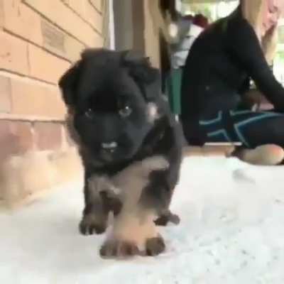 Coming for you!