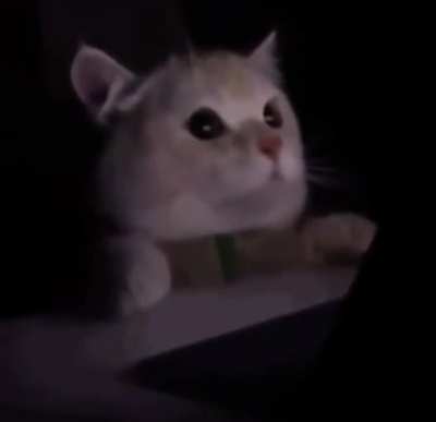 when you accidentally turn on light mode