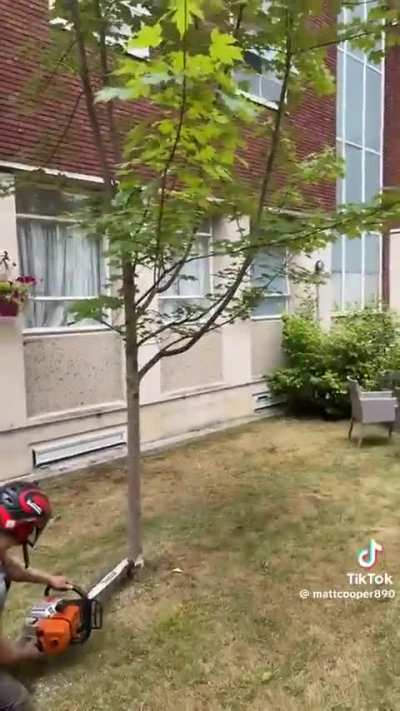 Saw this randomly on TikTok