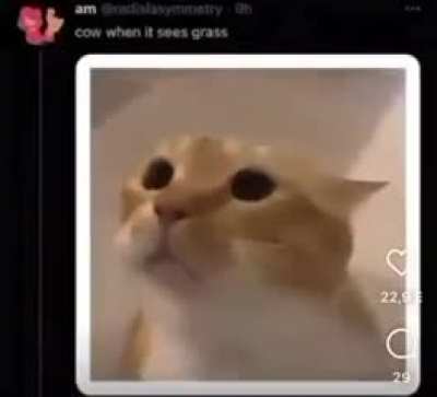 tell you what