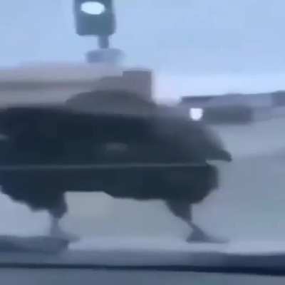 '- ')
