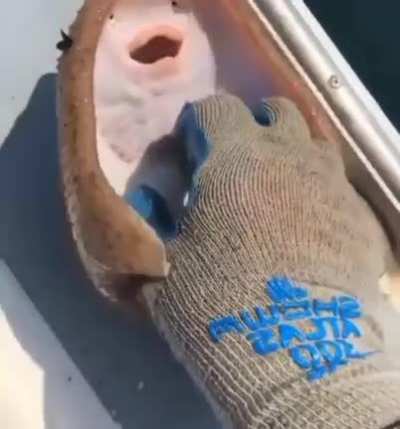 I wanna tickle a fish