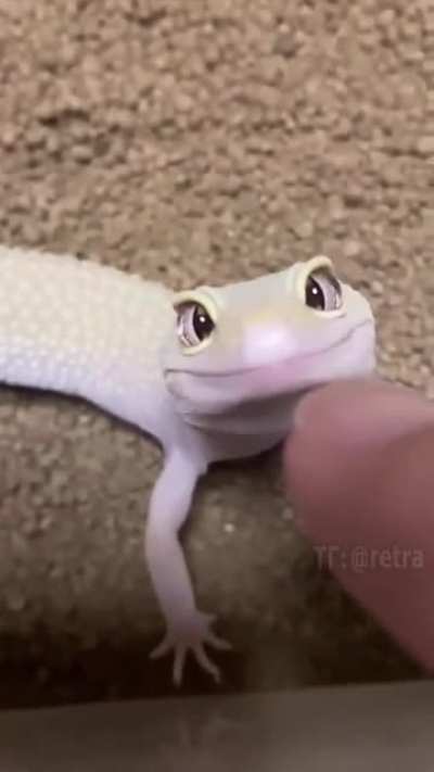 that damn smile...