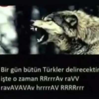 T&uuml;rk olunca benim surad