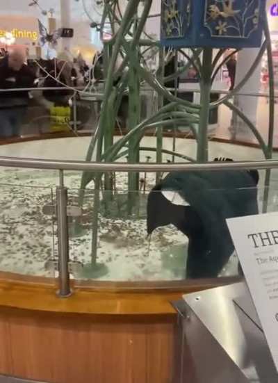 Why would they do this!?