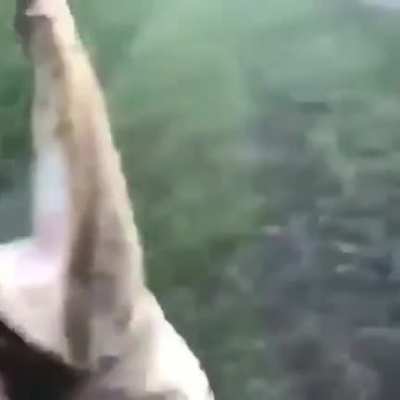 Aq sanki &ccedil;&ouml;p atıyor