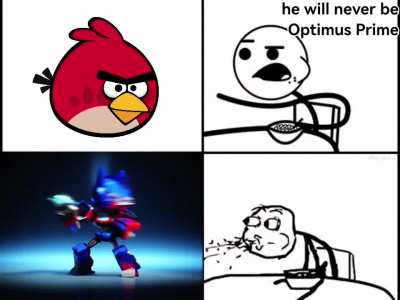 bird