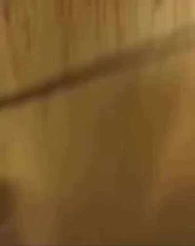 WCGW trying a backflip?