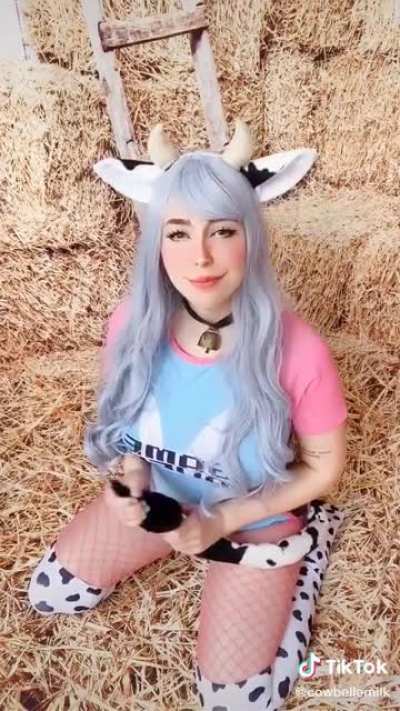 “Sexy” Cow