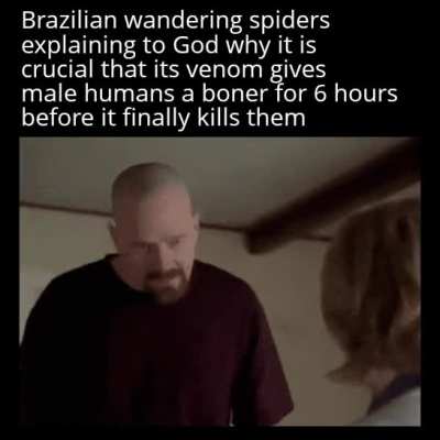 I am the one who bites