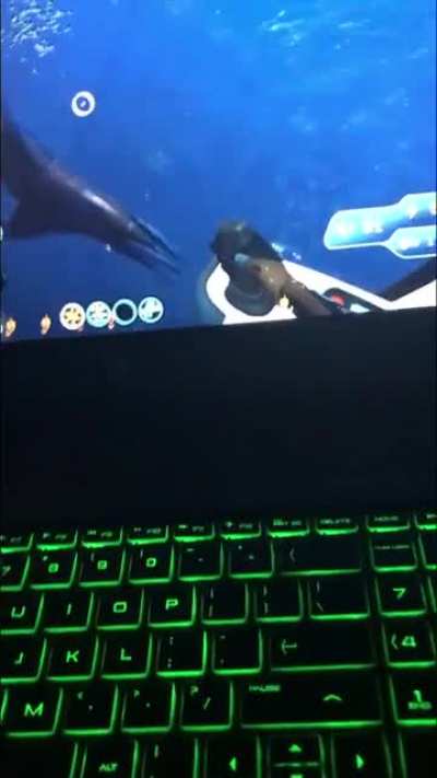 Subnautica you wonderful game