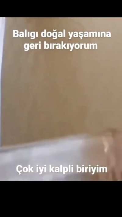 bornova &ouml;l&uuml;ler