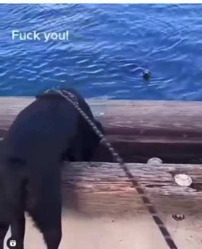 Fuck you Tony!!
