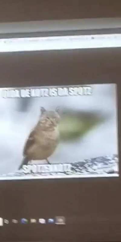 I hob heite r/okoidawappler memes im Latein Unterricht pr&auml;sentiert.