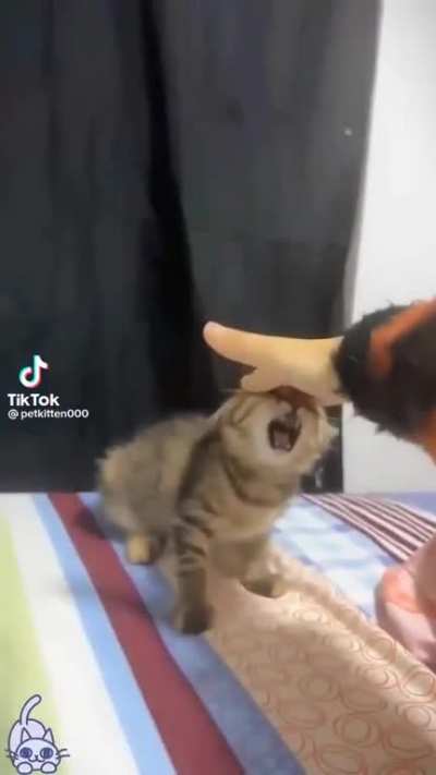 Very loud baby!