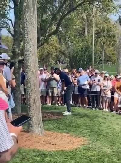 People trust pro golfers too much...