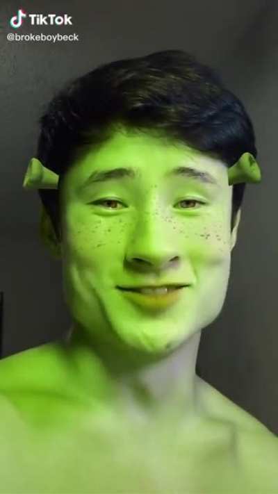 I didnt know there was ogres in minecraft
