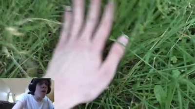 Grass