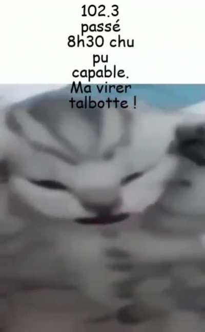 KAAAAAAAAAAAAAA