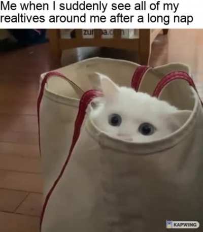 When!?.. Why are you here?
