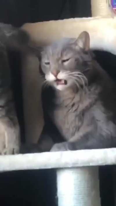 Цэ мэрзость&copy;