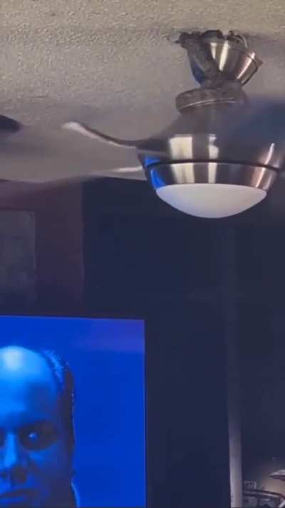 Snake On A Fan