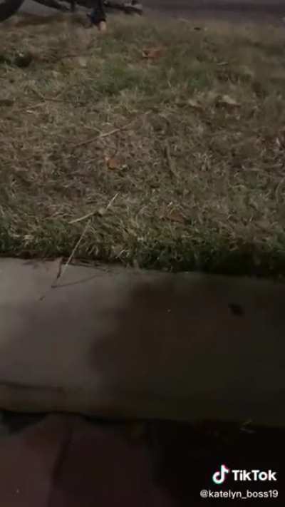 HMFT after I ride my bike down these stairs
