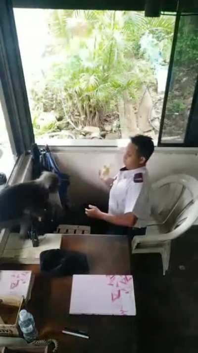 Caught on cctv , the thief are stealing security guard food.